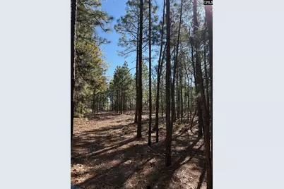 0 0 East Old Camden Hwy, Darlington, SC 29550 - Photo 8