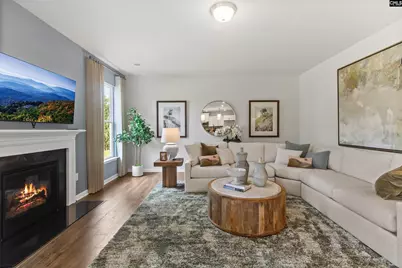 364 Chapin Place Way, Chapin, SC 29036 - Photo 12