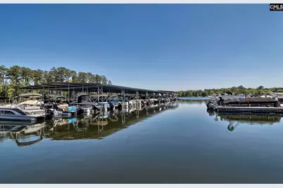 364 Chapin Place Way, Chapin, SC 29036 - Photo 30