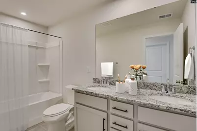 372 Chapin Place Way, Chapin, SC 29036 - Photo 42
