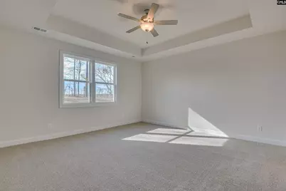 605 Basalt Court, Chapin, SC 29036 - Photo 34