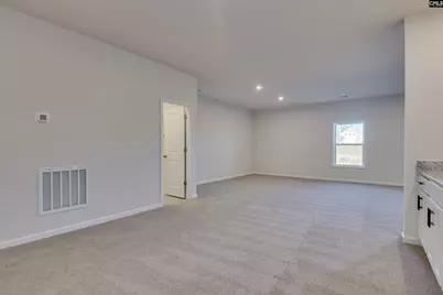 605 Basalt Court, Chapin, SC 29036 - Photo 20