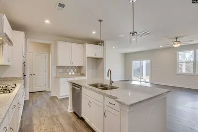 605 Basalt Court, Chapin, SC 29036 - Photo 4