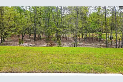 306 Frog Leap Road, Blythewood, SC 29016 - Photo 6