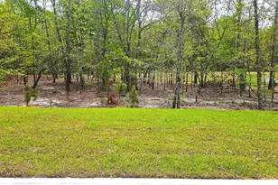 306 Frog Leap Rd, Blythewood, SC 29016 - Photo 6