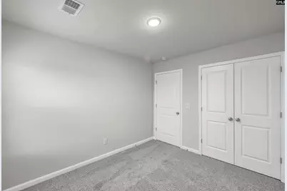 306 Frog Leap Road, Blythewood, SC 29016 - Photo 34