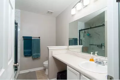 341 Foxport Drive, Chapin, SC 29036 - Photo 12