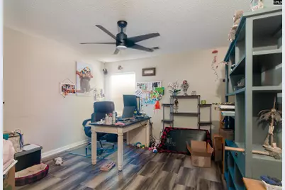 341 Foxport Drive, Chapin, SC 29036 - Photo 16