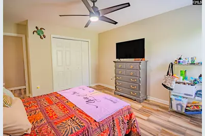341 Foxport Drive, Chapin, SC 29036 - Photo 30