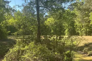 1197 Morello Rd, Manning, SC 29102 - Photo 1