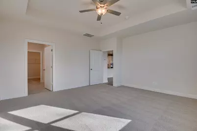 617 Basalt Court, Chapin, SC 29036 - Photo 24