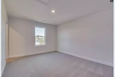 617 Basalt Court, Chapin, SC 29036 - Photo 28