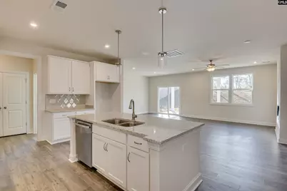 617 Basalt Court, Chapin, SC 29036 - Photo 2