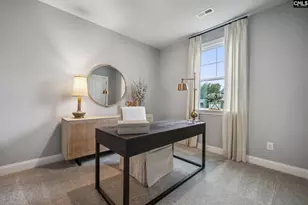 704 Feldspar Ct, Chapin, SC 29036 - Photo 10