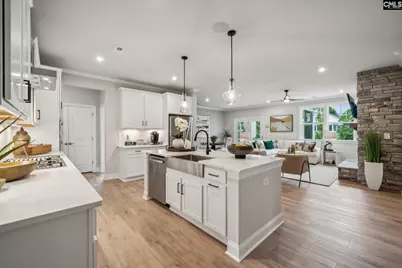 704 Feldspar Court, Chapin, SC 29036 - Photo 2