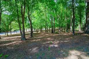 40 Brooksby Ct, Columbia, SC 29209 - Photo 28