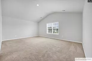 148 Rushton Dr, Chapin, SC 29036 - Photo 14