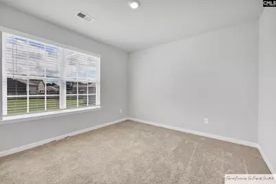 148 Rushton Drive, Chapin, SC 29036 - Photo 26