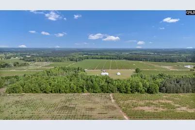 5474 Sc Highway 23, Johnston, SC 29832 - Photo 90