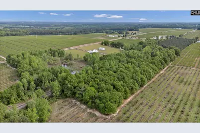 5474 Sc Highway 23, Johnston, SC 29832 - Photo 84