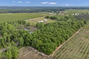 5474 Sc Hwy 23, Johnston, SC 29832 - Photo 84