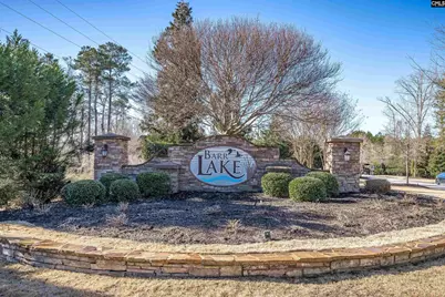 213 Goldenfluke Drive, Lexington, SC 29072 - Photo 32