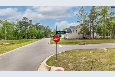 1005 Refuge Place #20, Chapin, SC 29036 - Photo 4
