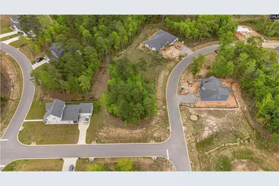 1005 Refuge Place #20, Chapin, SC 29036 - Photo 2