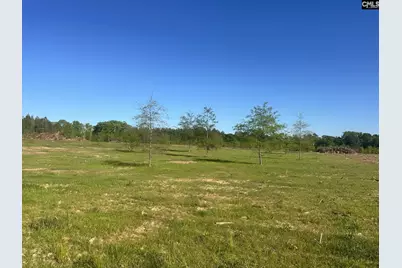 0 Livingston Road, Pomaria, SC 29126 - Photo 2