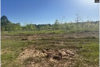 0 Livingston Road, Pomaria, SC 29126 - Photo 6