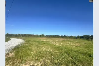 0 Livingston Road, Pomaria, SC 29126 - Photo 1