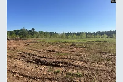 2145 Livingston Road, Pomaria, SC 29126 - Photo 2