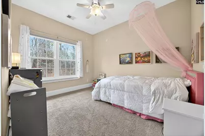 159 Harvest Moon Drive, Leesville, SC 29070 - Photo 28