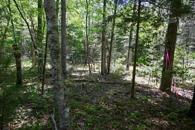 Tbd Spalding Drive, Blackstock, SC 29014 - Photo 2