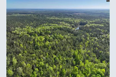 Tbd Spalding Drive, Blackstock, SC 29014 - Photo 12