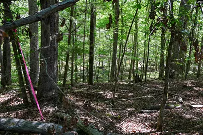 Tbd Spalding Drive, Blackstock, SC 29014 - Photo 20