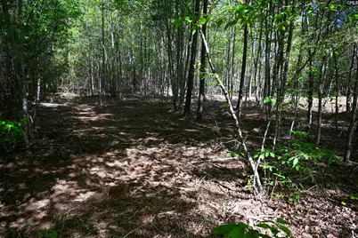 Tbd Spalding Drive, Blackstock, SC 29014 - Photo 24