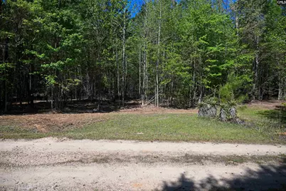 Tbd Spalding Drive, Blackstock, SC 29014 - Photo 14