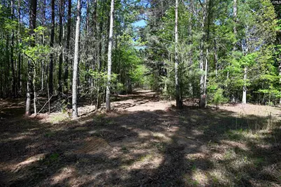 Tbd Spalding Drive, Blackstock, SC 29014 - Photo 18