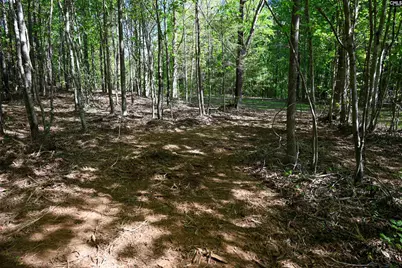 Tbd Spalding Drive, Blackstock, SC 29014 - Photo 10