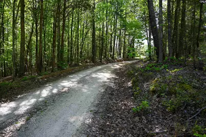 Tbd Spalding Drive, Blackstock, SC 29014 - Photo 14