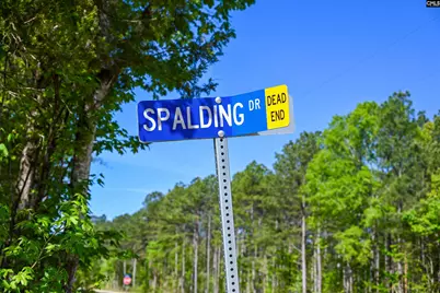 Tbd Spalding Drive, Blackstock, SC 29014 - Photo 28