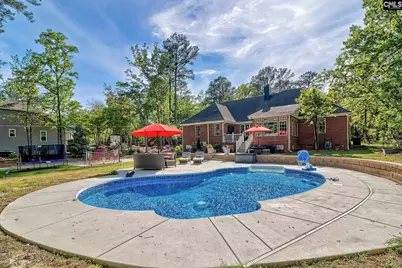 1207 Silver Point Road, Chapin, SC 29036 - Photo 10