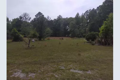 242 Ault Road, Hopkins, SC 29061 - Photo 10