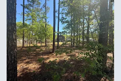 161 Graceland Court, Swansea, SC 29160 - Photo 4