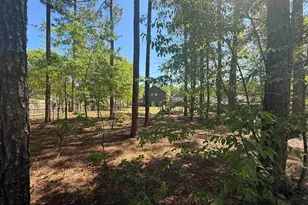 161 Graceland Ct, Swansea, SC 29160 - Photo 4