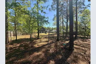 161 Graceland Court, Swansea, SC 29160 - Photo 20