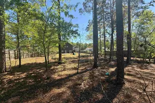 161 Graceland Ct, Swansea, SC 29160 - Photo 20