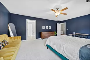 320 Eagle Pointe Dr, Chapin, SC 29036 - Photo 22