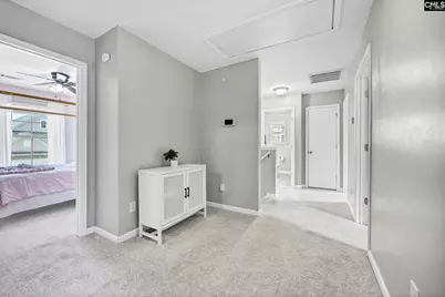 320 Eagle Pointe Drive, Chapin, SC 29036 - Photo 20